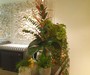 Bar Display (Plants not ours) in the Cedar Suite, The Grove, Chandlers Cross, Herts